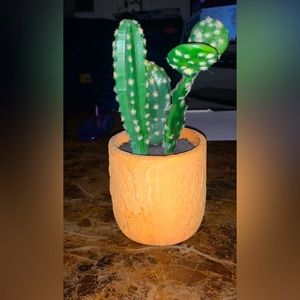 Fake Cactus